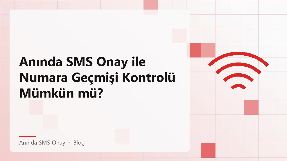 Anında SMS Onay ile numara geçmişi kontrolü yapılan bir ekran görüntüsü.